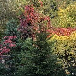 318748801cece19f8466ce31