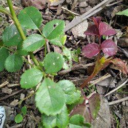 IMG_20200822_112425--KOPIYdc74f71a4c6d0d9f