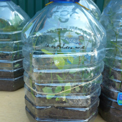 P1410843d55eb448f26696bb