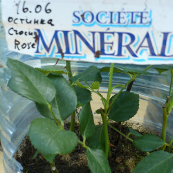 P1410893a7f66eeb8ec42f2a