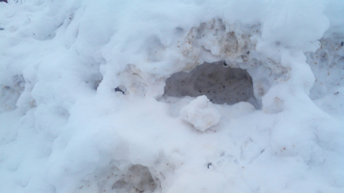 20220121100933caded1159667664a.jpg