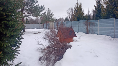 IMG 20220312 WA0006