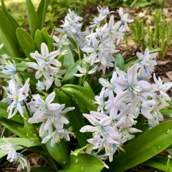 8599A8AB-A0F8-4BBD-BD11-F0B0EA04C6FC16348ea608f420db