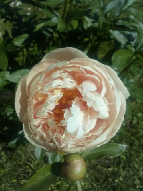 IMG 20230611 094103