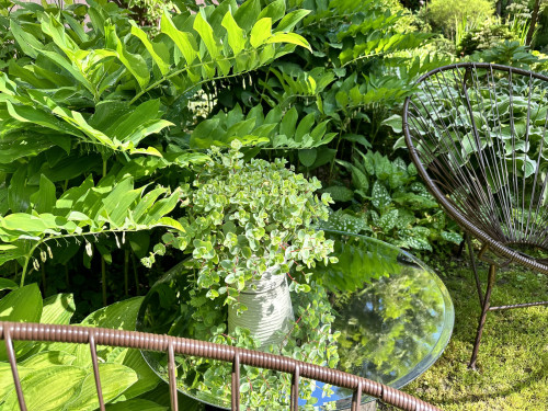 031933395d025d0d610.jpg