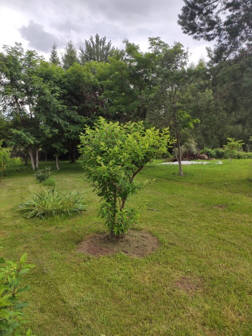 IMG 20230723 125119