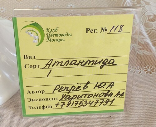 20230802 123706