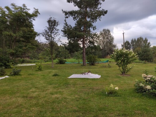 IMG 20230808 191935